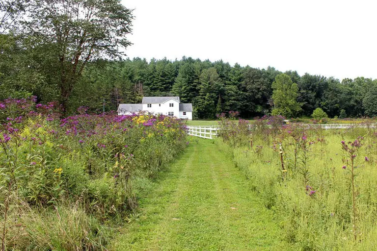 grand tara lodge grounds tour