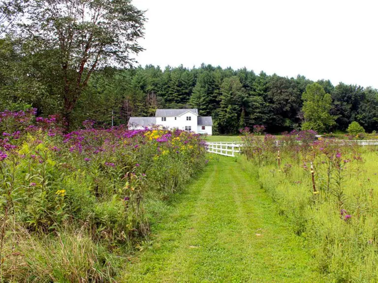 Grand Tara Lodge Grounds